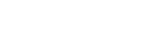 Vendismart Logo